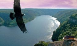 Развод башкиров в «День без разводов»