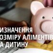 Визначення розміру аліментів на дитину