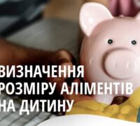 Визначення розміру аліментів на дитину